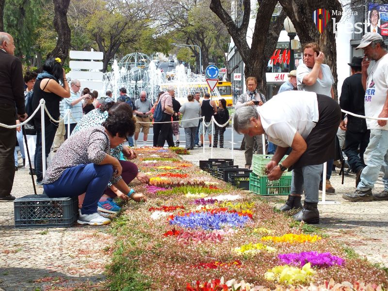 Madeira Flower Festival 2019 - Flowers Carpets